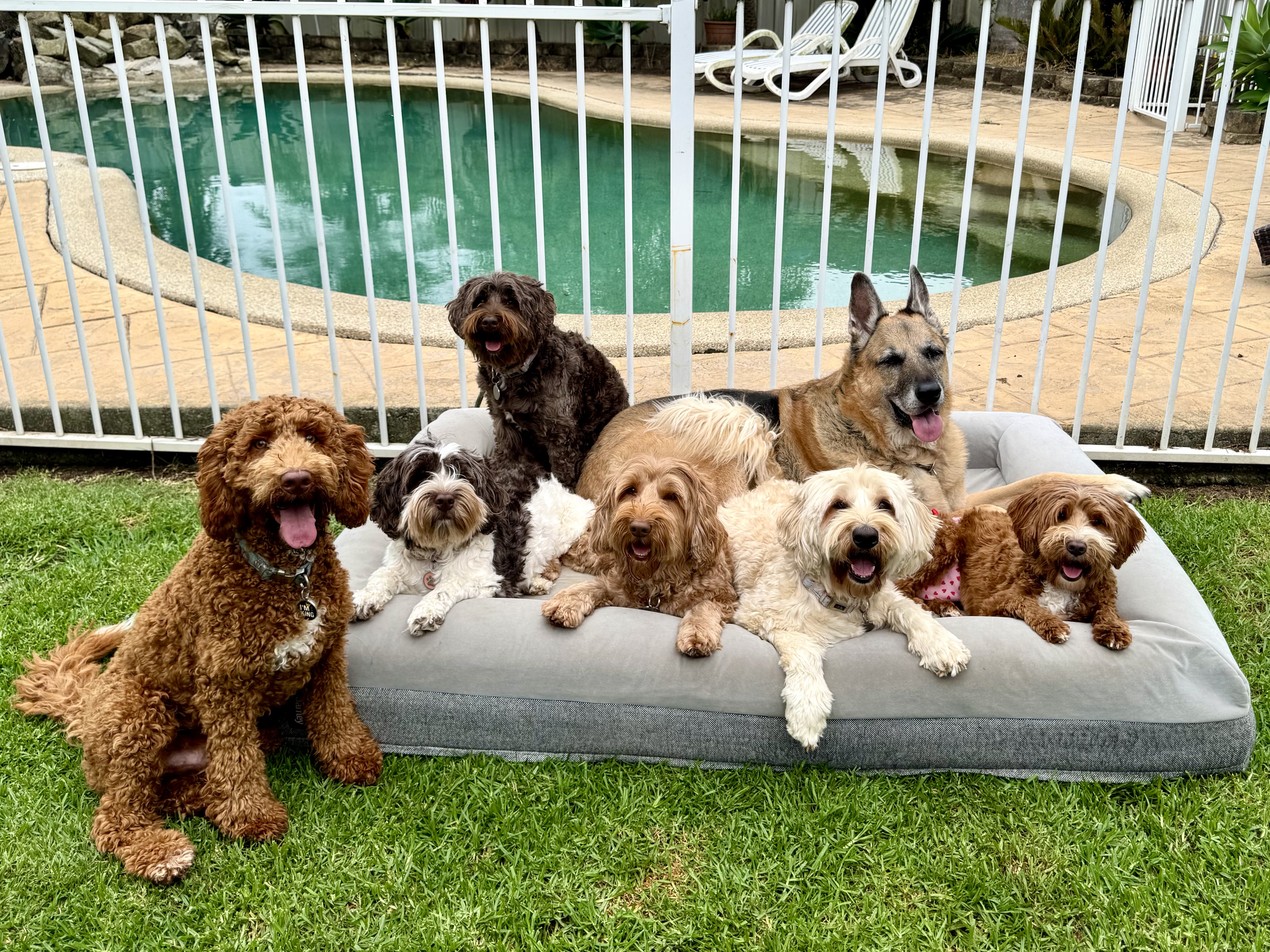 Puppy Culture